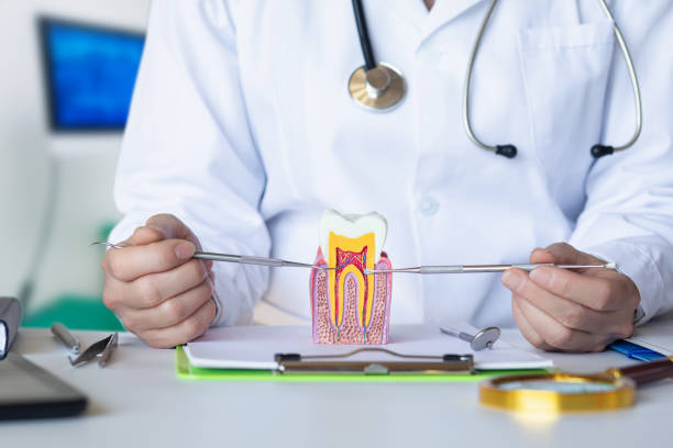 Best Pediatric Emergency Dentist in Perry, UT